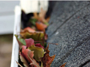 gutter cleaning