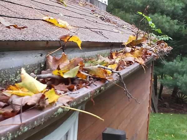 Berkshire, Franklin, Hampden, & Hampshire Counties clogged gutters